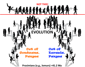 Pangean evolution